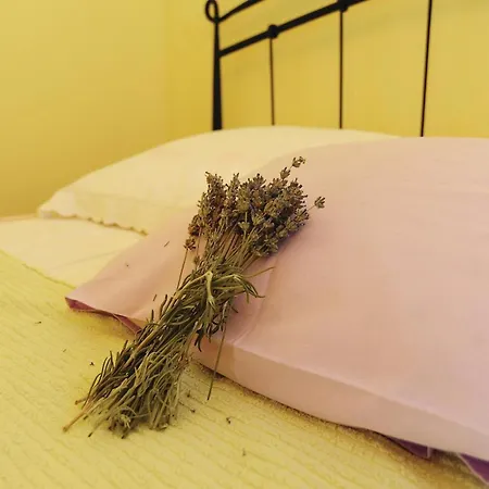 Semesterbostad Pet Friendly In With Sauna Trbounje