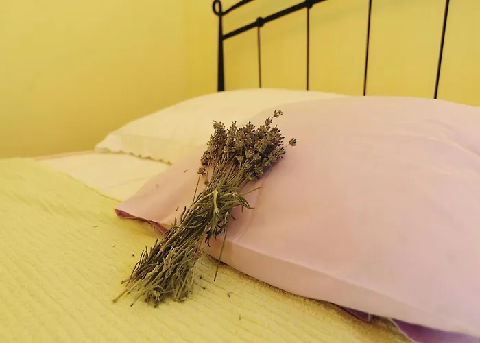 別荘 Stunning In With Sauna Trbounje